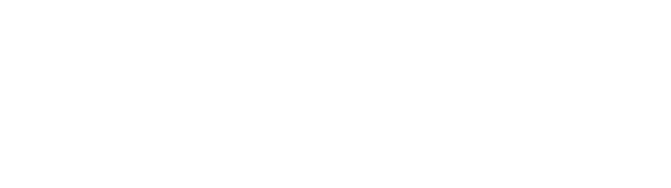 SAVARRO